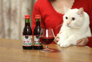 Illustration for article titled The Strange History of Bottled Drinks Marketed to Dogs and Cats